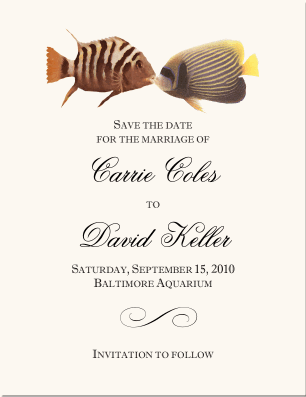 Kissing Fish Save the Date