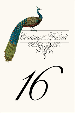 Bird Themed Peacock Wedding Table NumbersVintage Table Number 