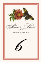 Wedding Table Numbers Floral Flower Gerbera Daisy Butterfly Illustration Border 