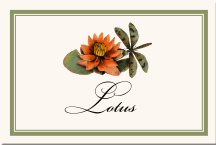 Wedding Table Name Cards Dragonfly Lotus Flower Floral Illustration Border