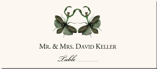 Wedding Place Card Mantis Dance Insect Illustration 
