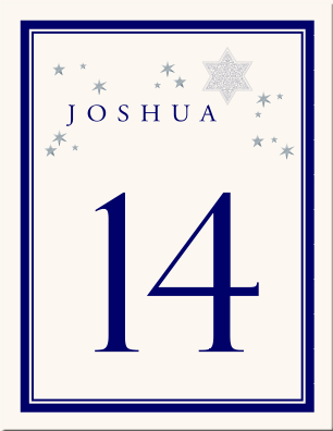 Stary Night Navy Table Number