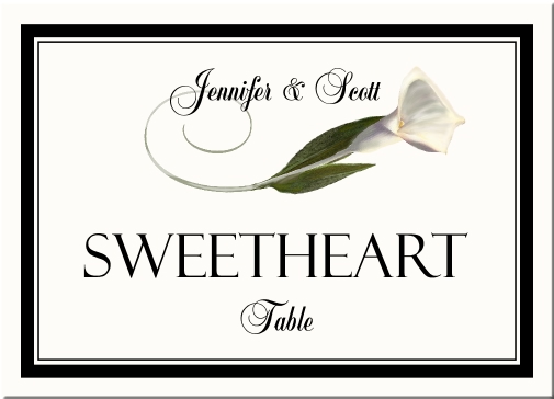 Black And White Flowers Border. Double Line Border