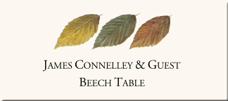 BEECHWOOD PATTERN - Free Patterns