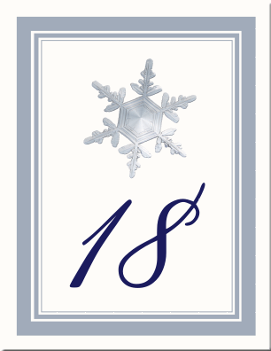 Snowflake 4 Top Center Table Number