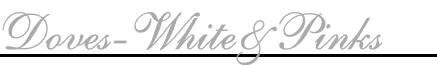 Seating Charts-Calligraphy-Special Event Planning-Unique Wedding Accessories