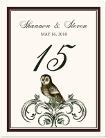 Sir Hootey Owl Wedding Table Numbers