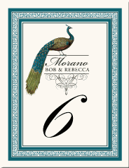 Peacock Monogram Design with Teal Arabesque Border
