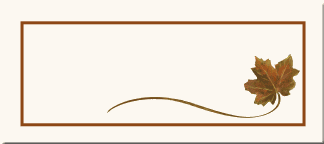 line border placecards wedding reception accessories custom