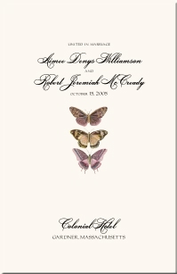 Wedding Program Pink Butterfly Illustration