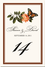 Weddin Table Number Floral Flower Peach Rose Butterfly Illustration Border