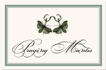 Weddin Table Name Praying Mantis Dance Insect Illustratio Border