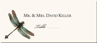 Wedding Place Card Insect Illustration Dragonfly