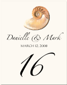 Beach Wedding Table Number with Seashell