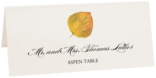 Photograph of Tented Assorted Colorful Leaves Place Cards