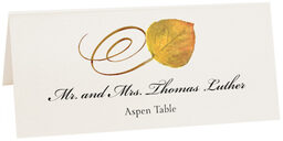 Photograph of Tented Assorted Swirly Leaves Place Cards