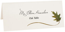 Photograph of Tented Assorted Wispy Leaves Place Cards