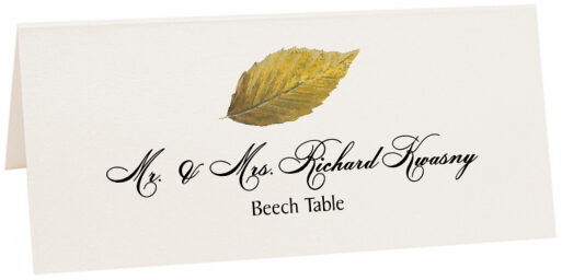 Photograph of Tented Beech Colorful Leaf Place Cards