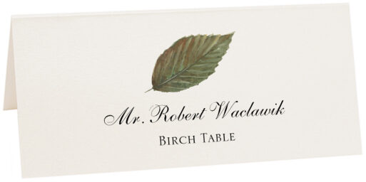 Photograph of Tented Birch Colorful Leaf Place Cards