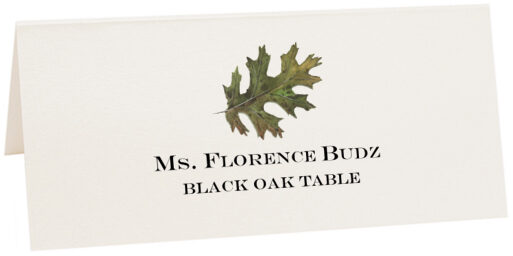 Photograph of Tented Black Oak Colorful Leaf Place Cards