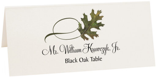 Photograph of Tented Black Oak Twisty Leaf Place Cards