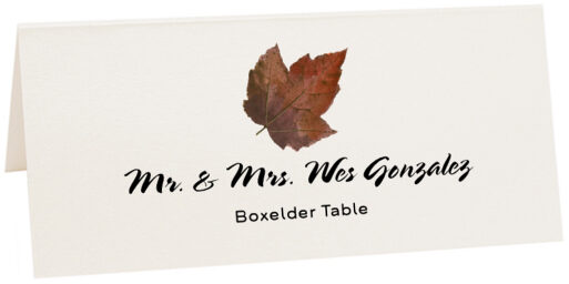 Photograph of Tented Boxelder Colorful Leaf Place Cards