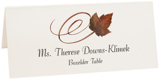 Photograph of Tented Boxelder Swirly Leaf Place Cards