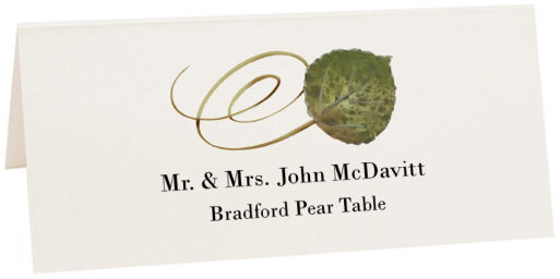 Photograph of Tented Bradford Pear Swirly Leaf Place Cards