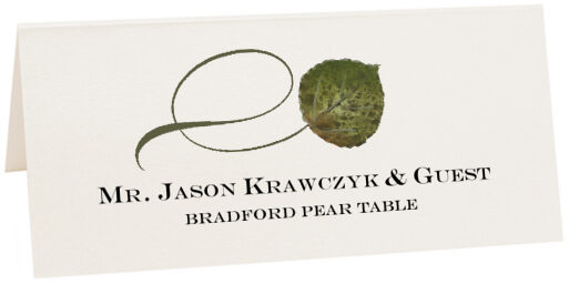 Photograph of Tented Bradford Pear Twisty Leaf Place Cards