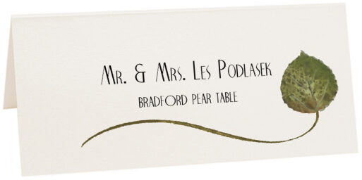 Photograph of Tented Bradford Pear Wispy Leaf Place Cards