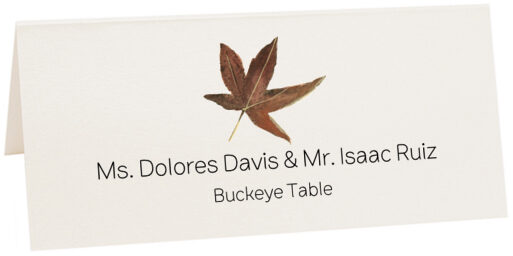 Photograph of Tented Buckeye Colorful Leaf Place Cards