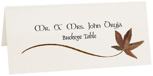 Photograph of Tented Buckeye Wispy Leaf Place Cards