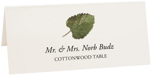 Photograph of Tented Cottonwood Colorful Leaf Place Cards