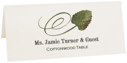 Photograph of Tented Cottonwood Swirly Leaf Place Cards