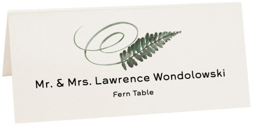 Photograph of Tented Fern Swirly Leaf Place Cards