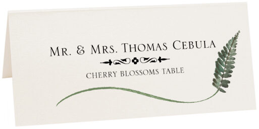 Photograph of Tented Fern Wispy Leaf Place Cards