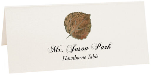 Photograph of Tented Hawthorne Colorful Leaf Place Cards