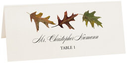 Photograph of Tented Leaf Pattern Assortment Place Cards