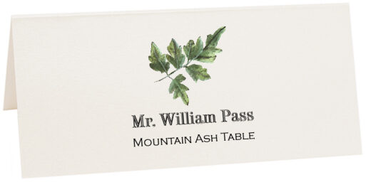 Photograph of Tented Mountain Ash Colorful Leaf Place Cards