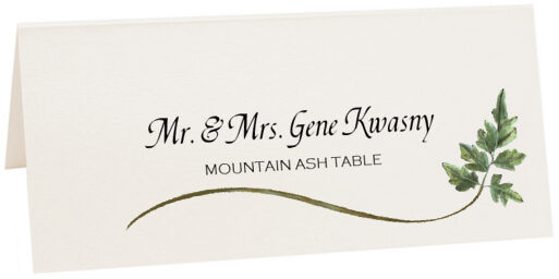Photograph of Tented Mountain Ash Wispy Leaf Place Cards