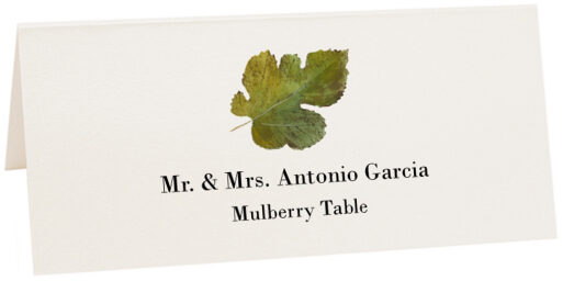 Photograph of Tented Mulberry Colorful Leaf Place Cards