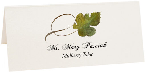 Photograph of Tented Mulberry Twisty Leaf Place Cards