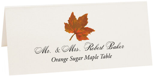 colored place cards wedding