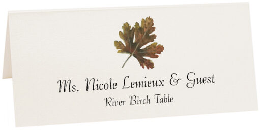 Photograph of Tented River Birch Colorful Leaf Place Cards