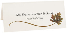 Photograph of Tented River Birch Wispy Leaf Place Cards