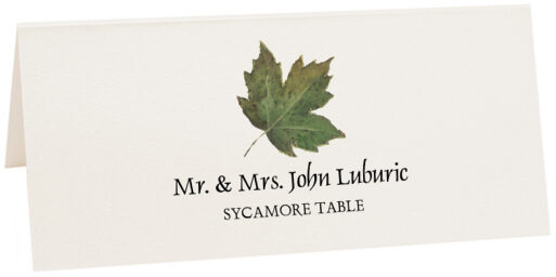 Photograph of Tented Sycamore Colorful Leaf Place Cards