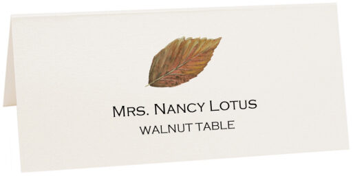 Photograph of Tented Walnut Colorful Leaf Place Cards