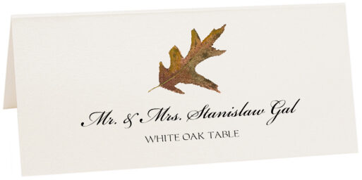 Photograph of Tented White Oak Colorful Leaf Place Cards