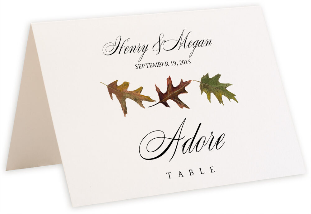 Photograph of Tented Leaf Pattern Assortment Table Names