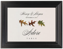 Framed Photograph of Leaf Pattern Assortment Table Names